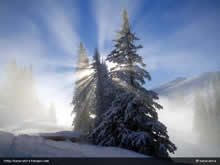 Jahorina in Winter