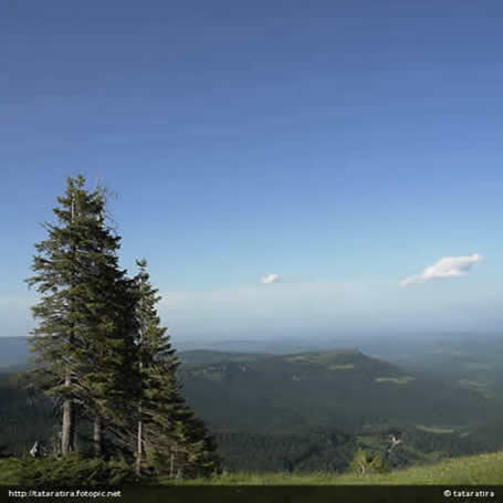 Jahorina ljeti