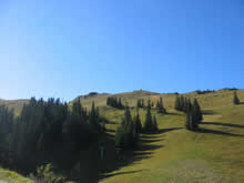 Jahorina ljeti
