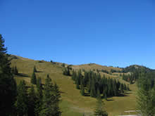 Jahorina ljeti