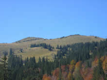 Jahorina ljeti